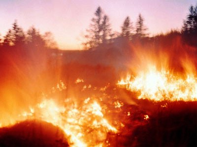 В 2011 году в Севастополе произошло 390 пожаров