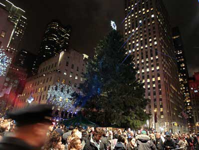 Установлена главная рождественская елка США