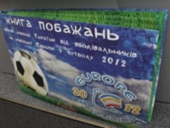 Украина смогла получить 20 кг пожеланий к Евро-2012