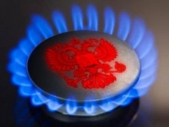 Янукович не спешит с рассмотрением цены на газ