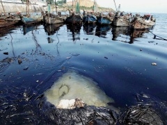 Сегодня известно, кто на протяжении двух лет загрязнял севастопольскую бухту нефтяными веществами.